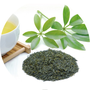 緑茶